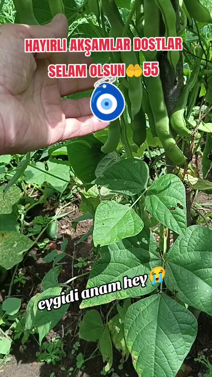 @HER YÜZÜNE 🤲GÜLENİ DOSSANMA🤲