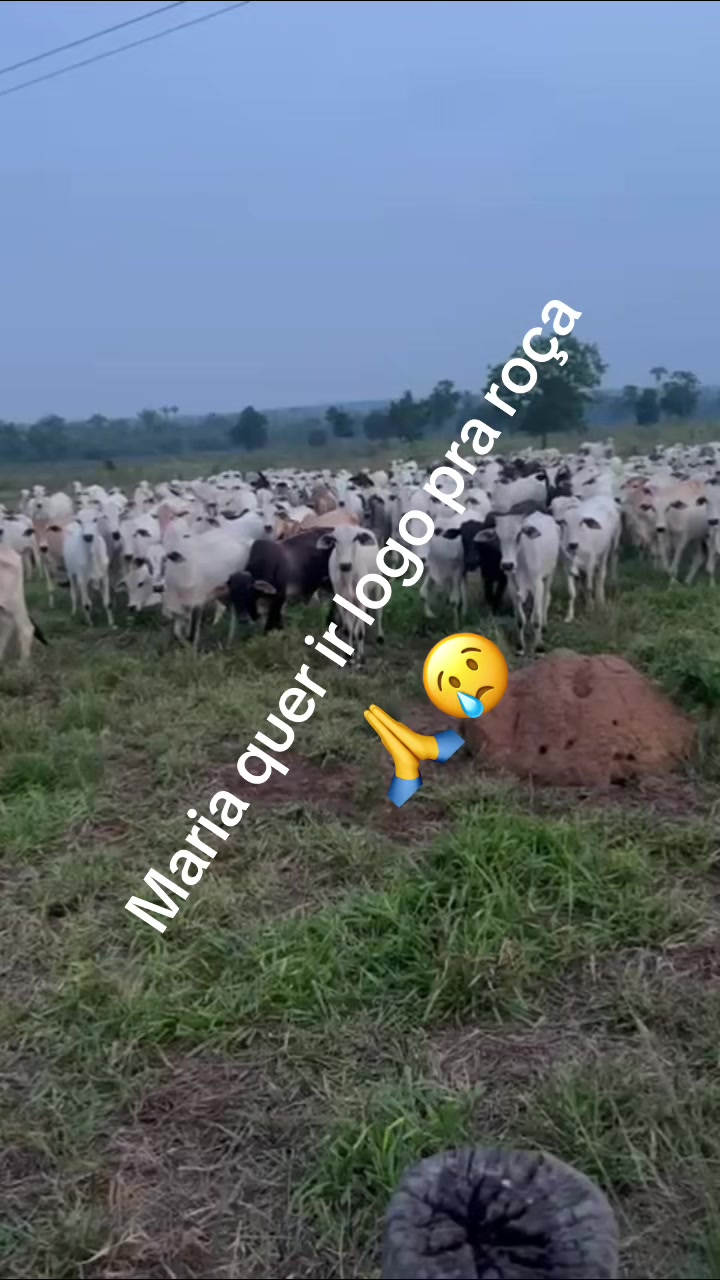 @Maria