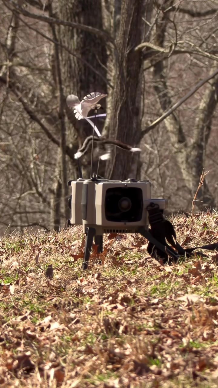 @FOXPRO Game Calls