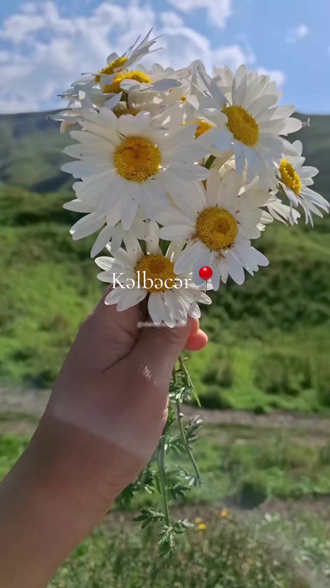 @olannanolmazdan