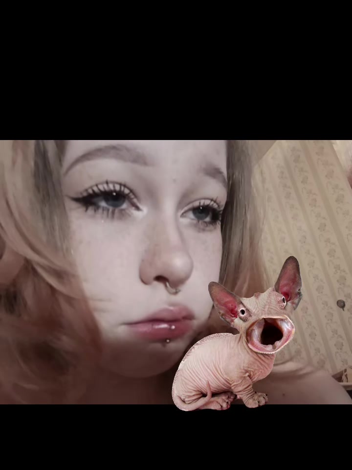 @Ббимбап