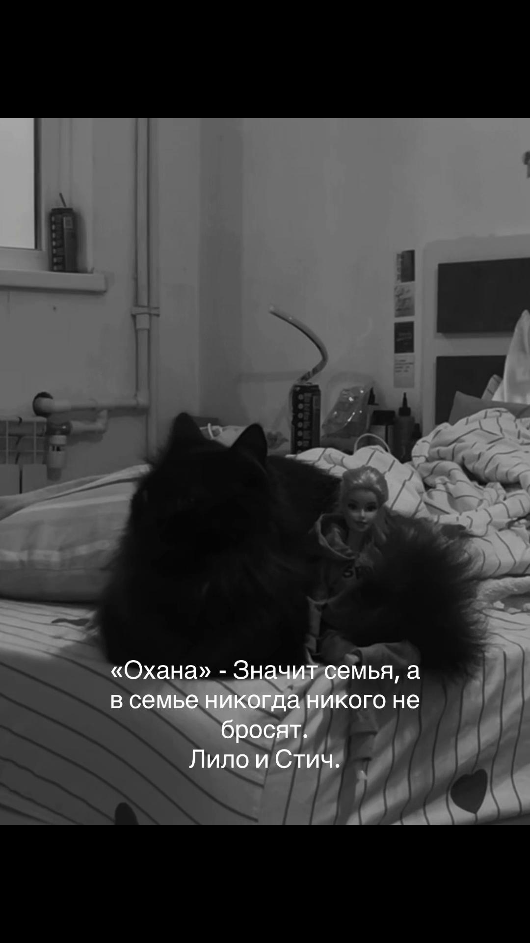 @ТГК:ДАДЗЕ