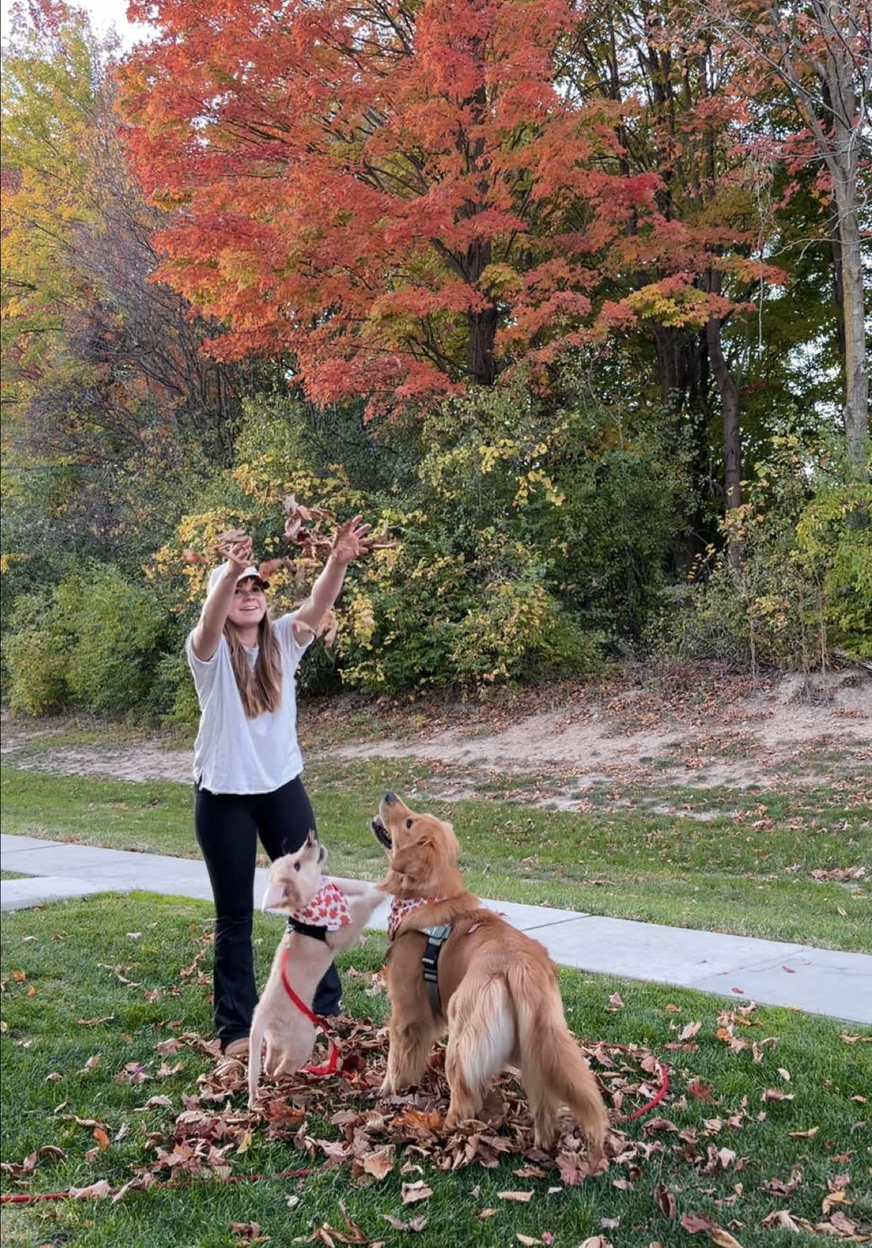 @Teddy & Tucker🐾