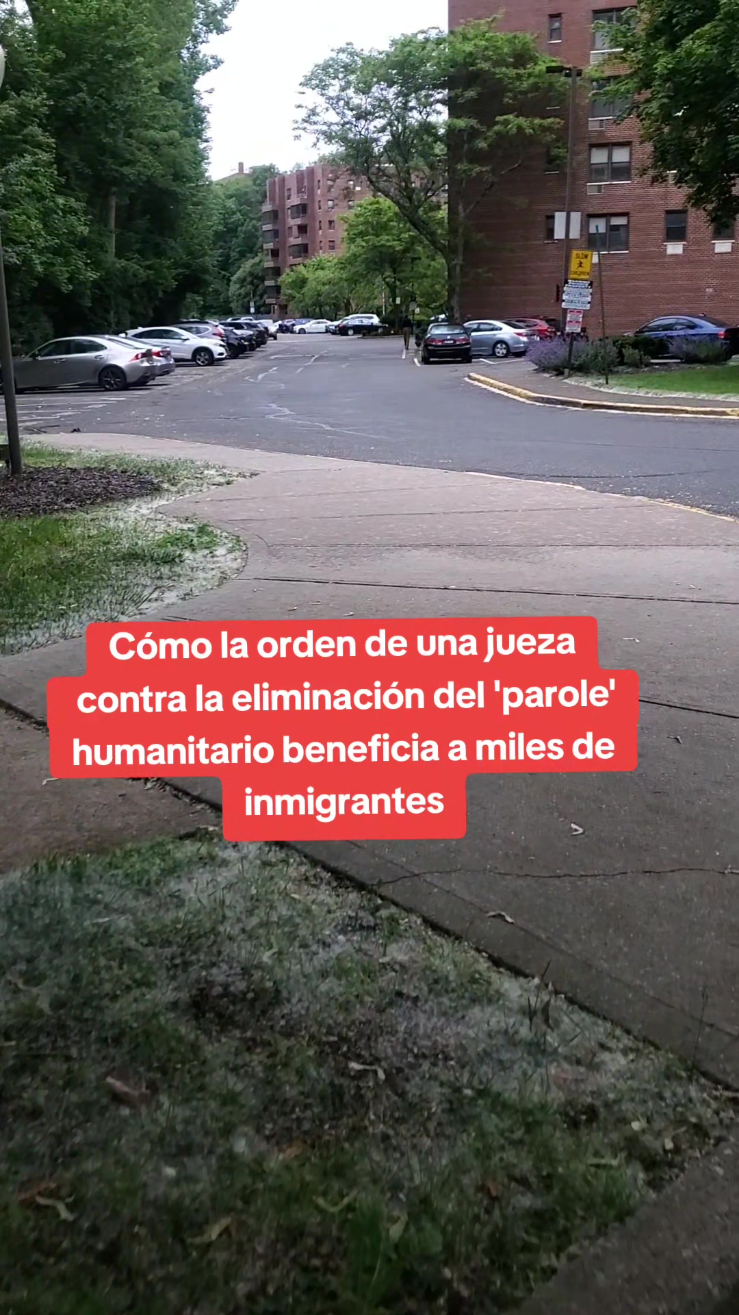 @wachimanin