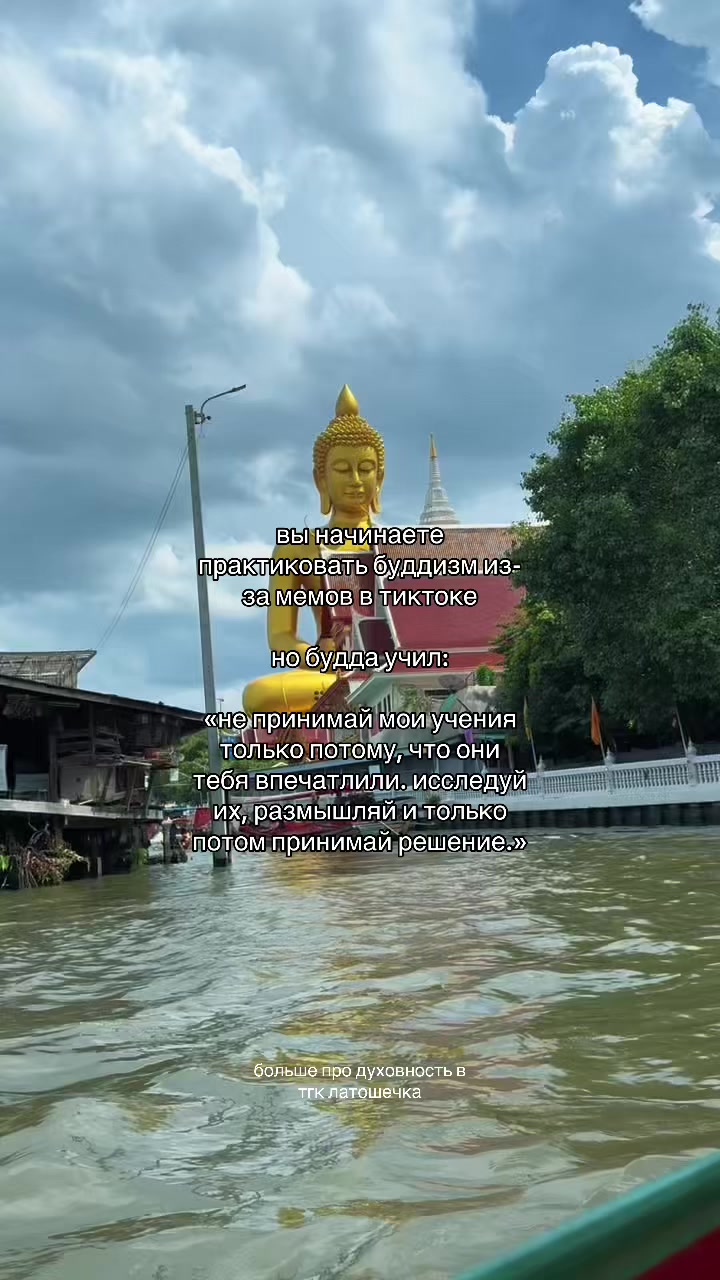 @тгк: латошечка