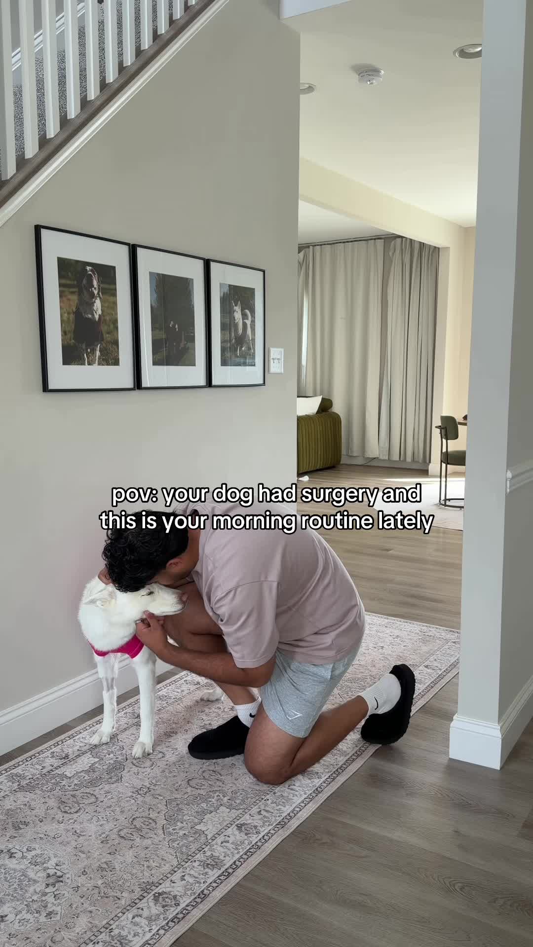 @Maaz