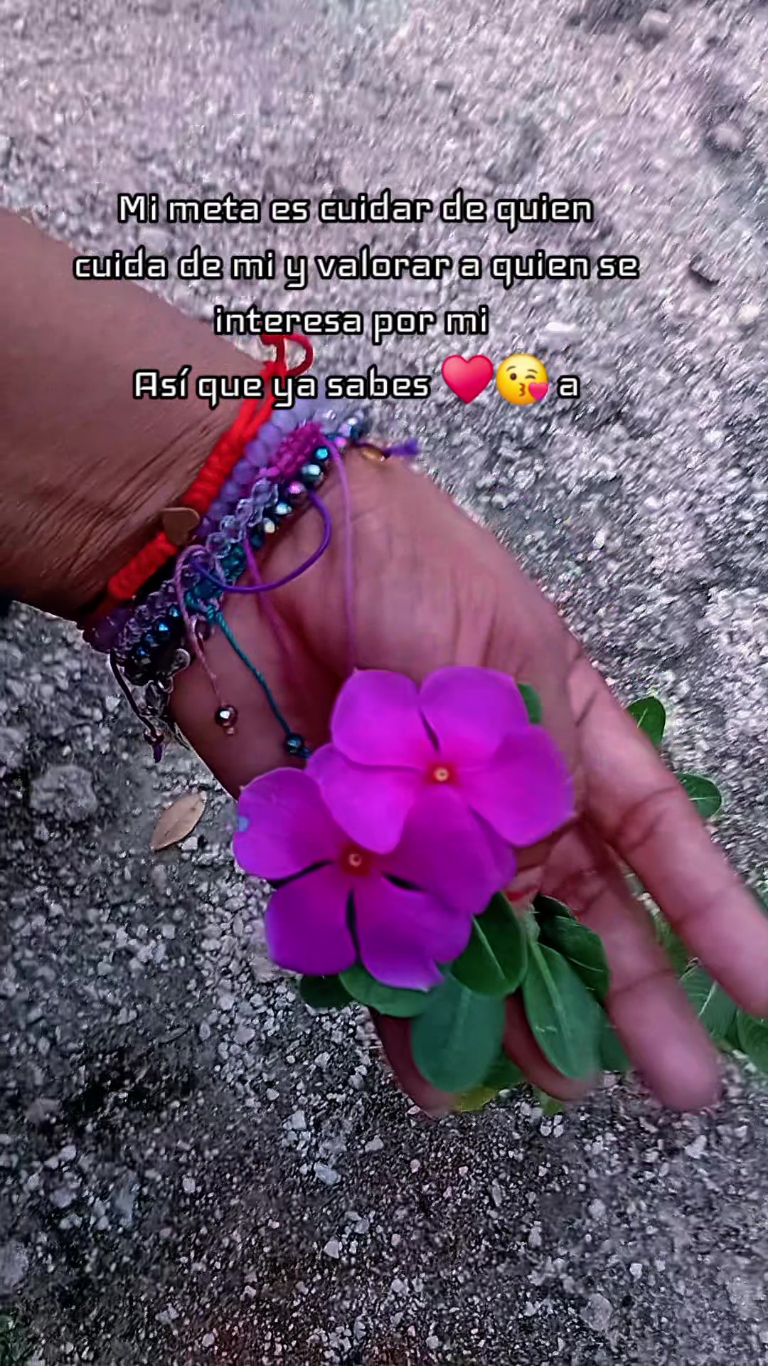 @jarochita ❤️❤️🫀🧠