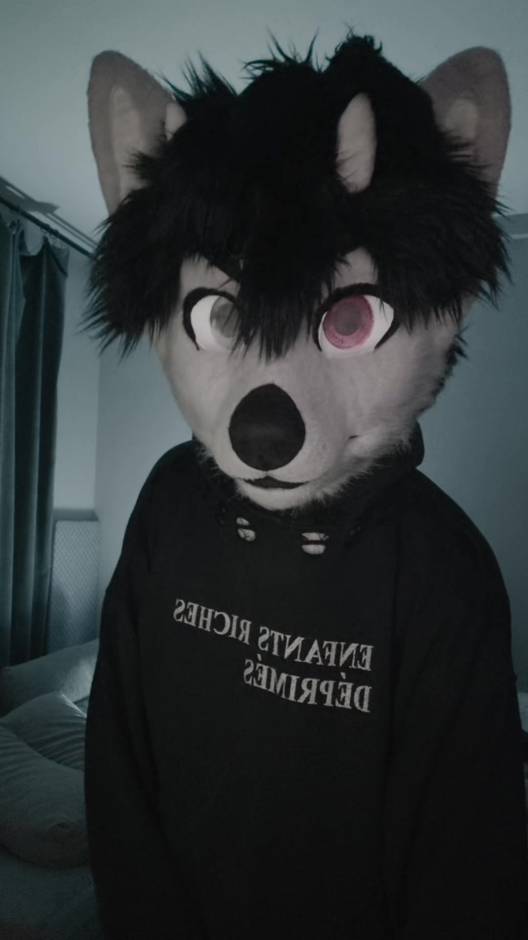 @фыркалко 🐾