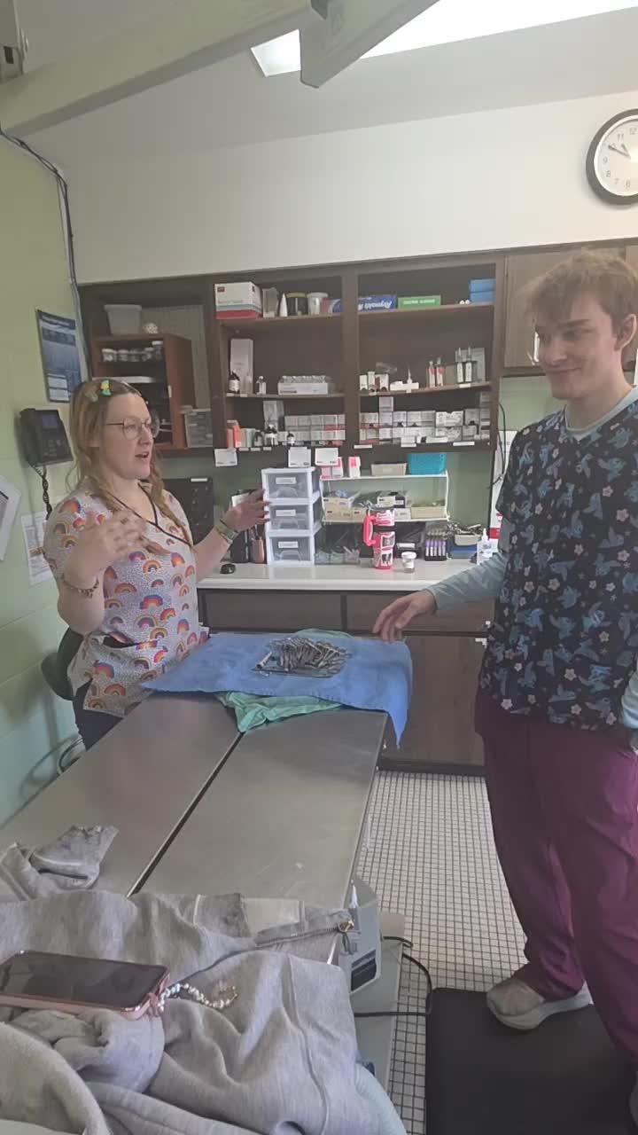 @Chateau Dog & Cat Hospital