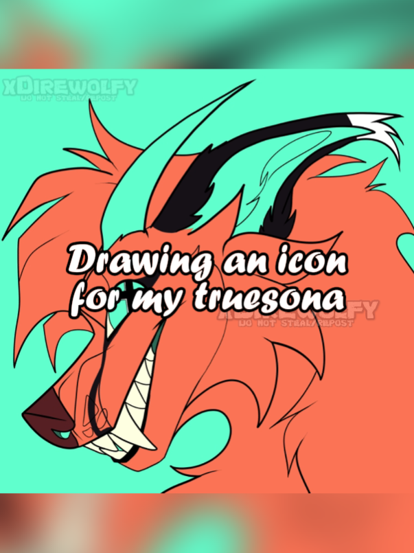 @xDirewolfy
