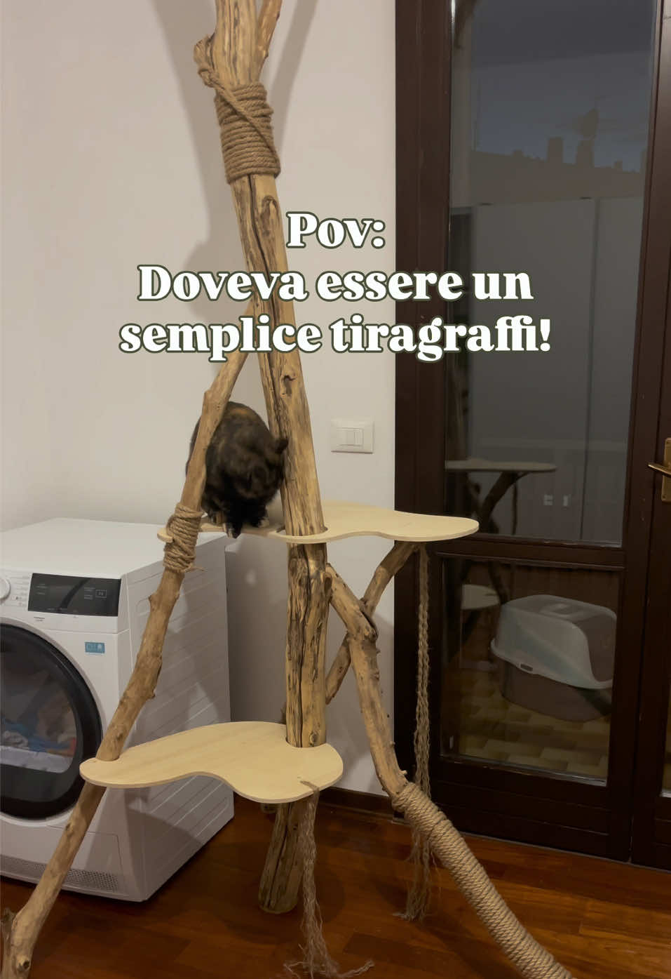 @Miliomillemiglia