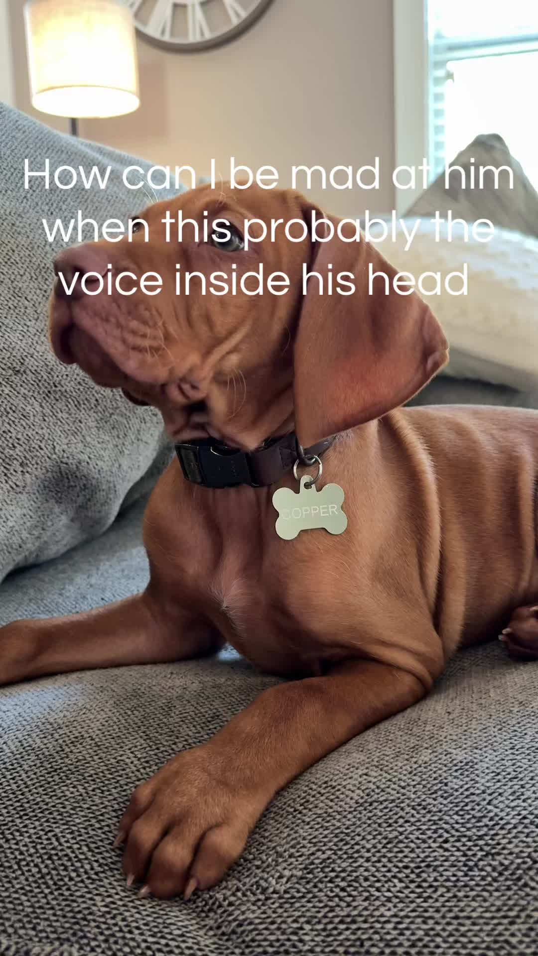 @Copper | Penny