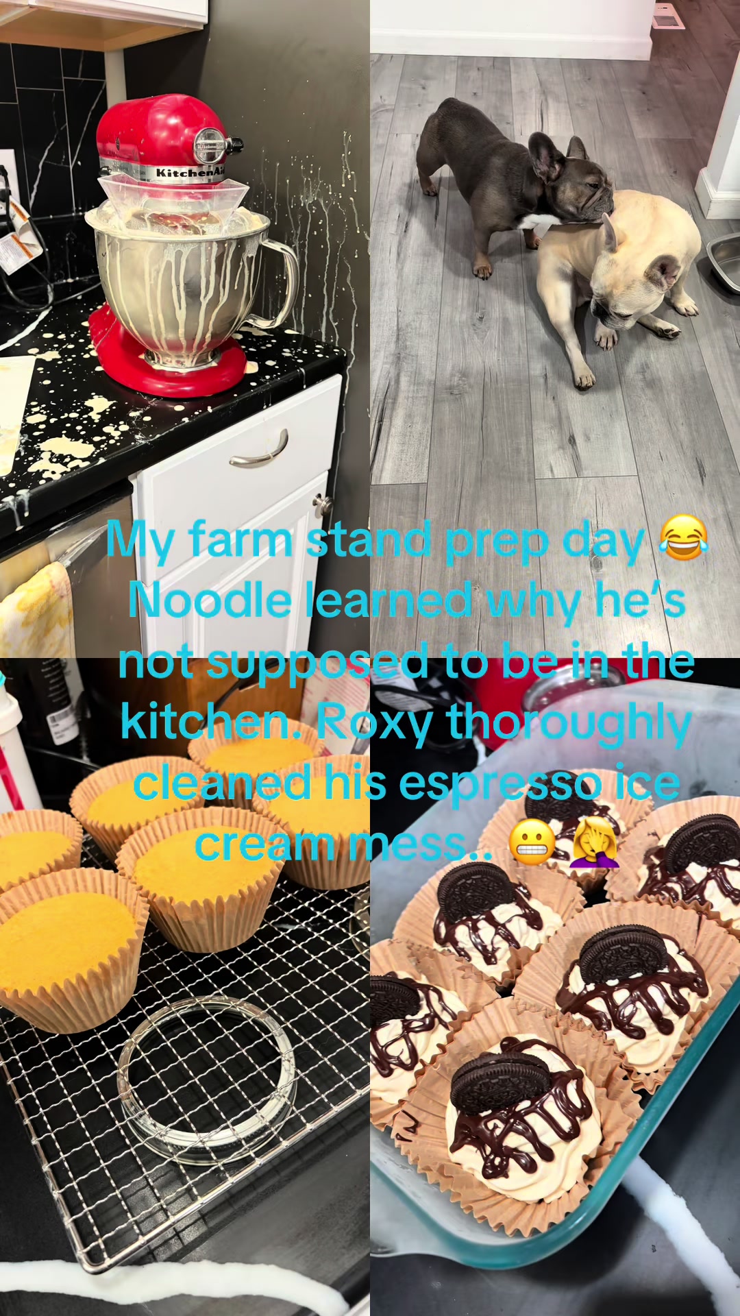 @WollamFarm