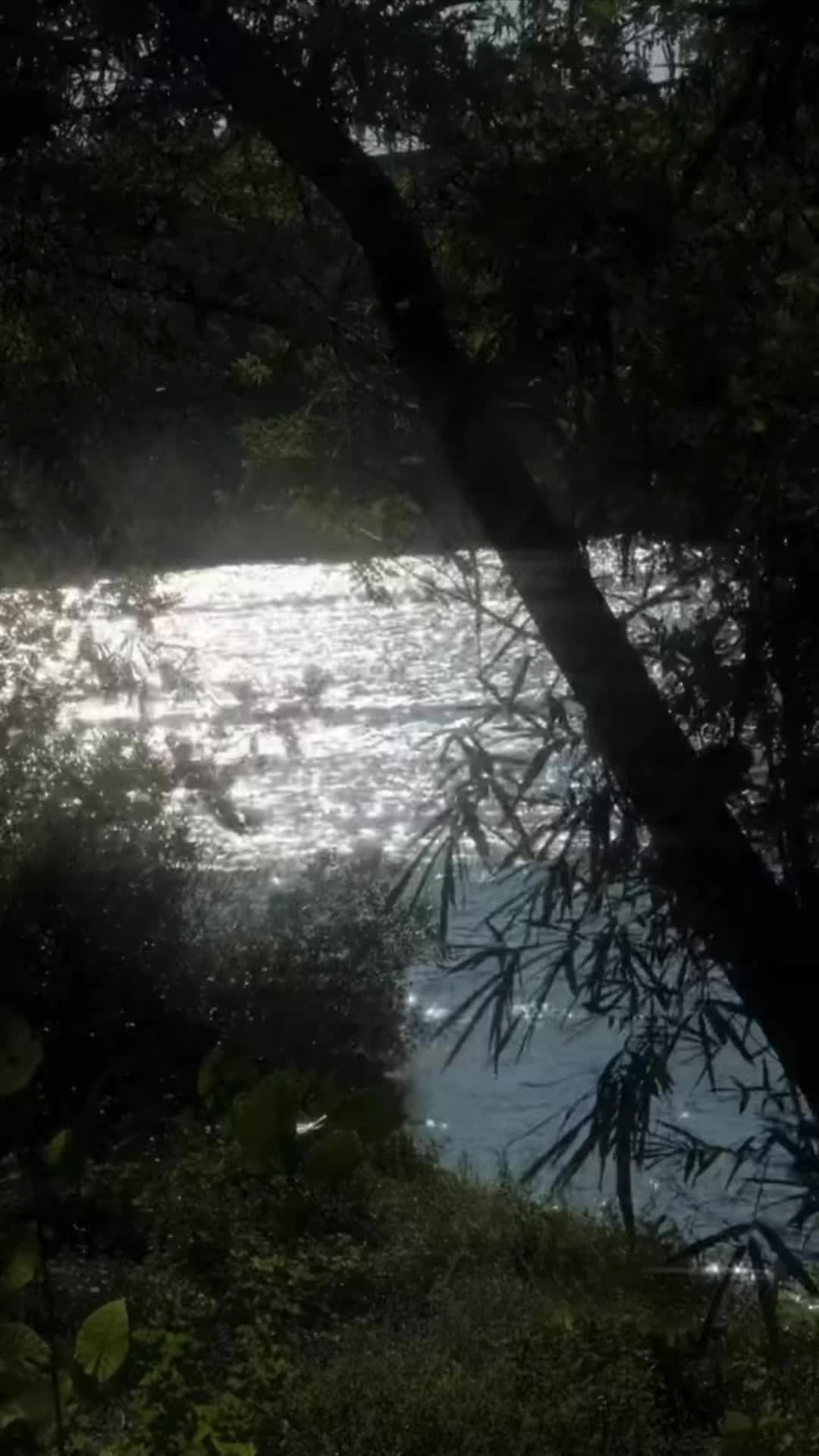 @lostblvd