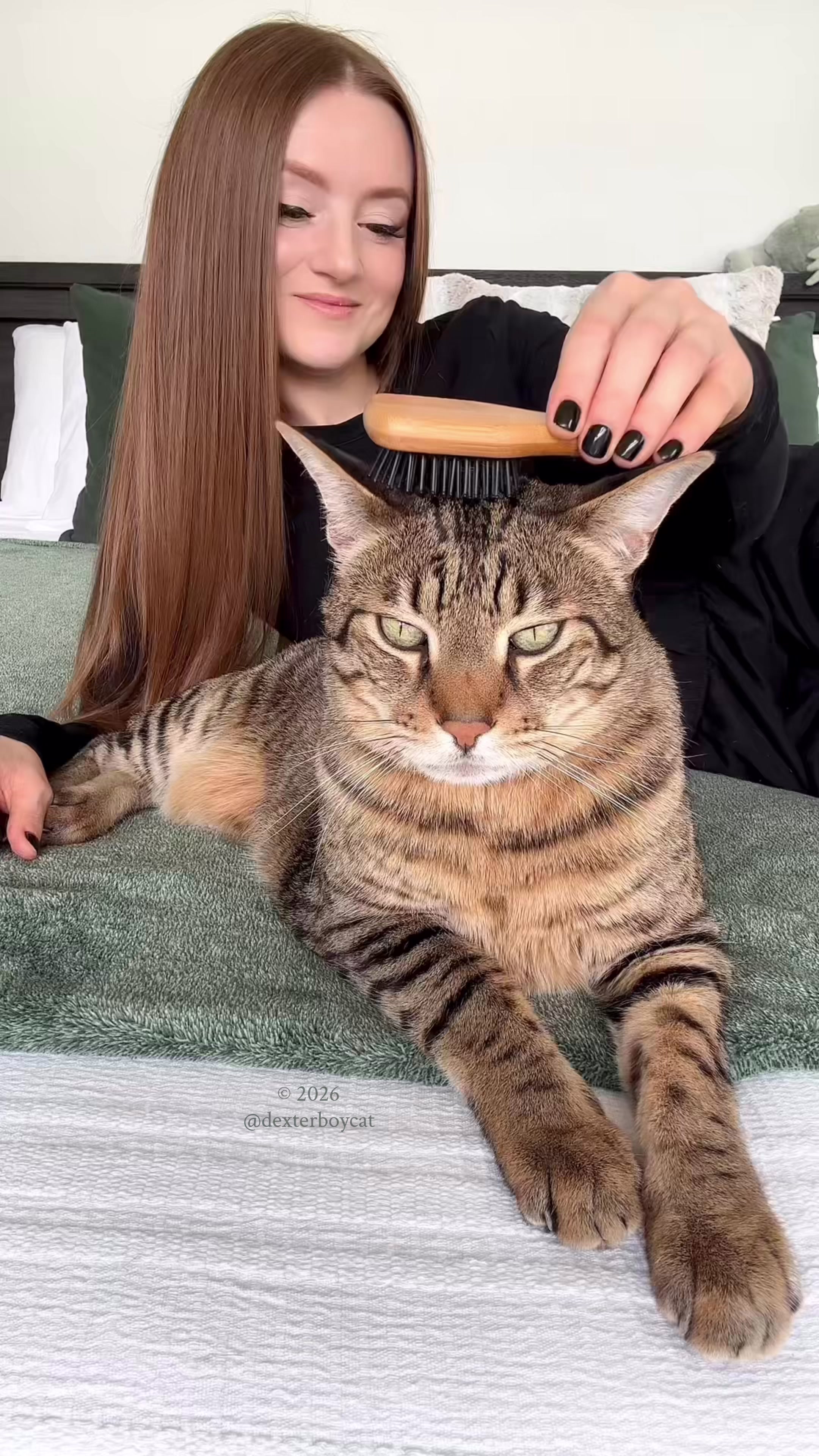 @dexterboycat 🐆♥️