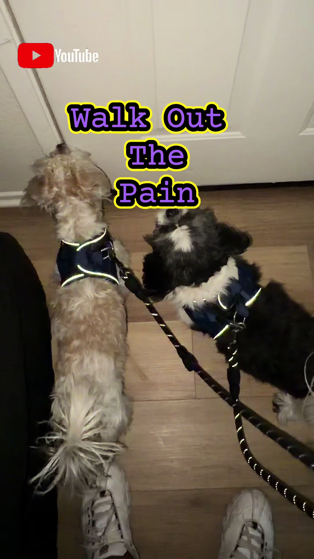 @livinlifewithsugieandsonny