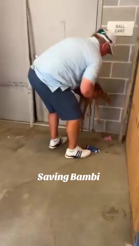 @thebarnboys2