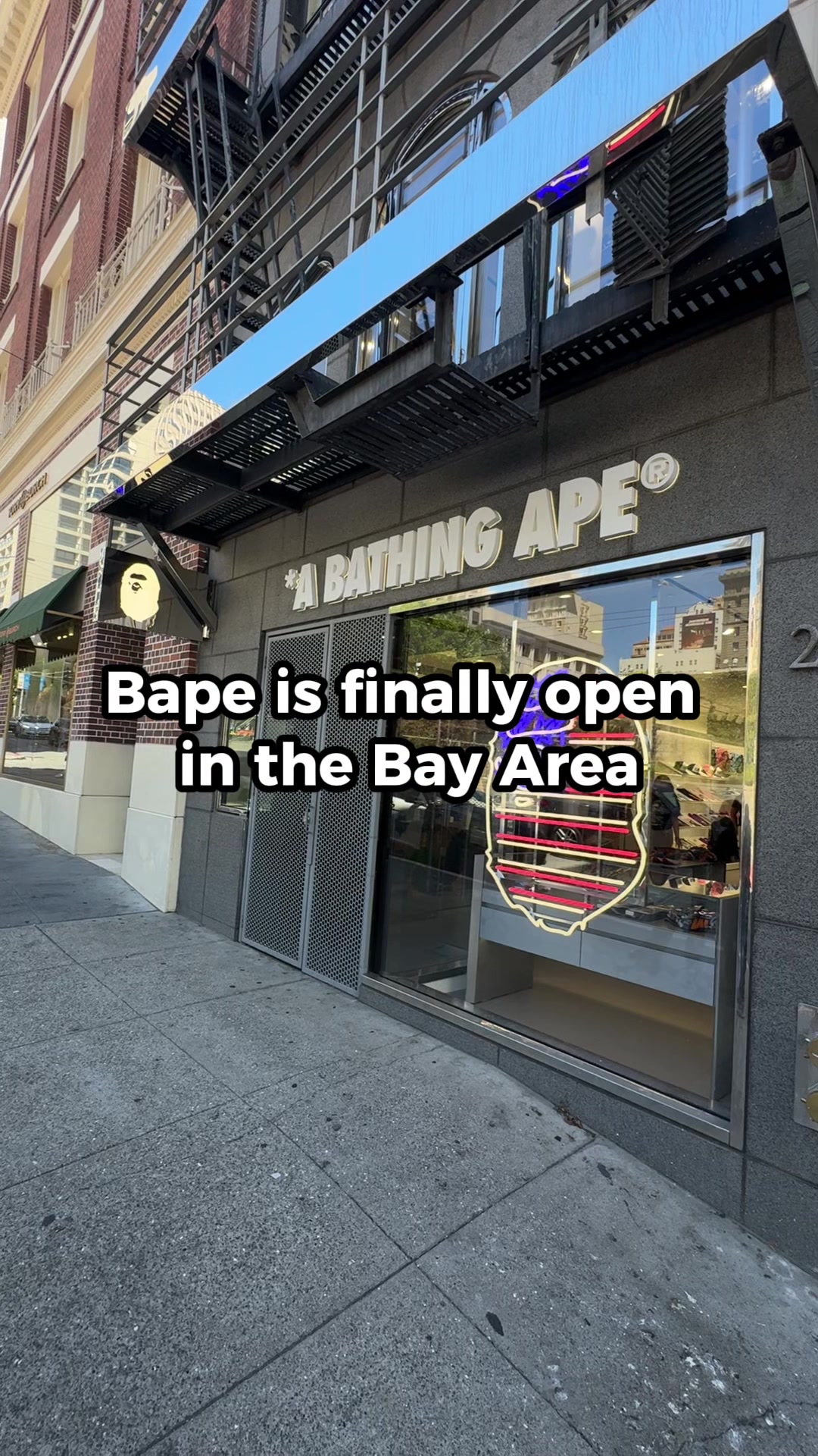 @Square🐻