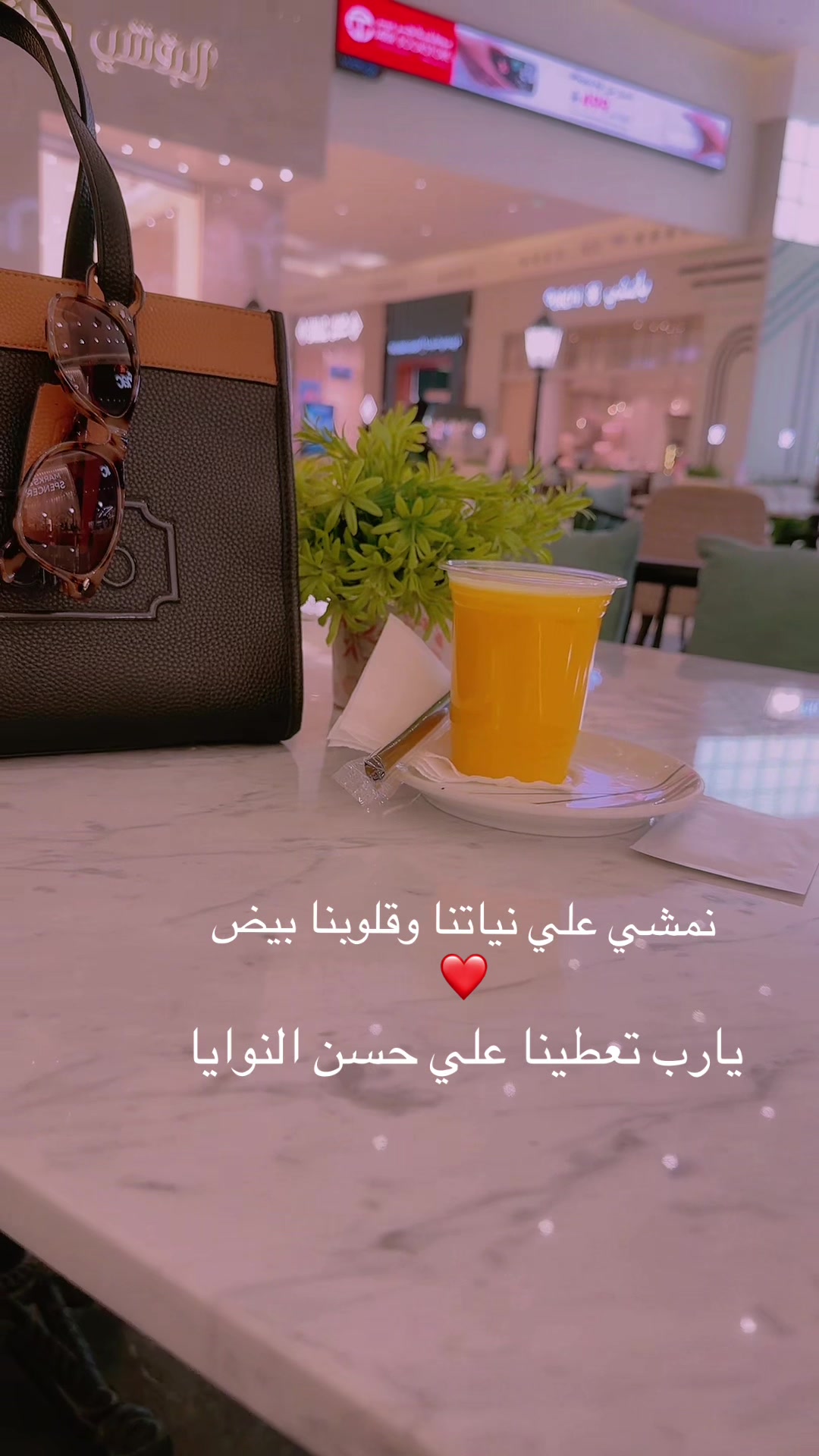 @⭐️⭐️⭐️نجمة الهيلا وبس ⭐️(١)⭐️