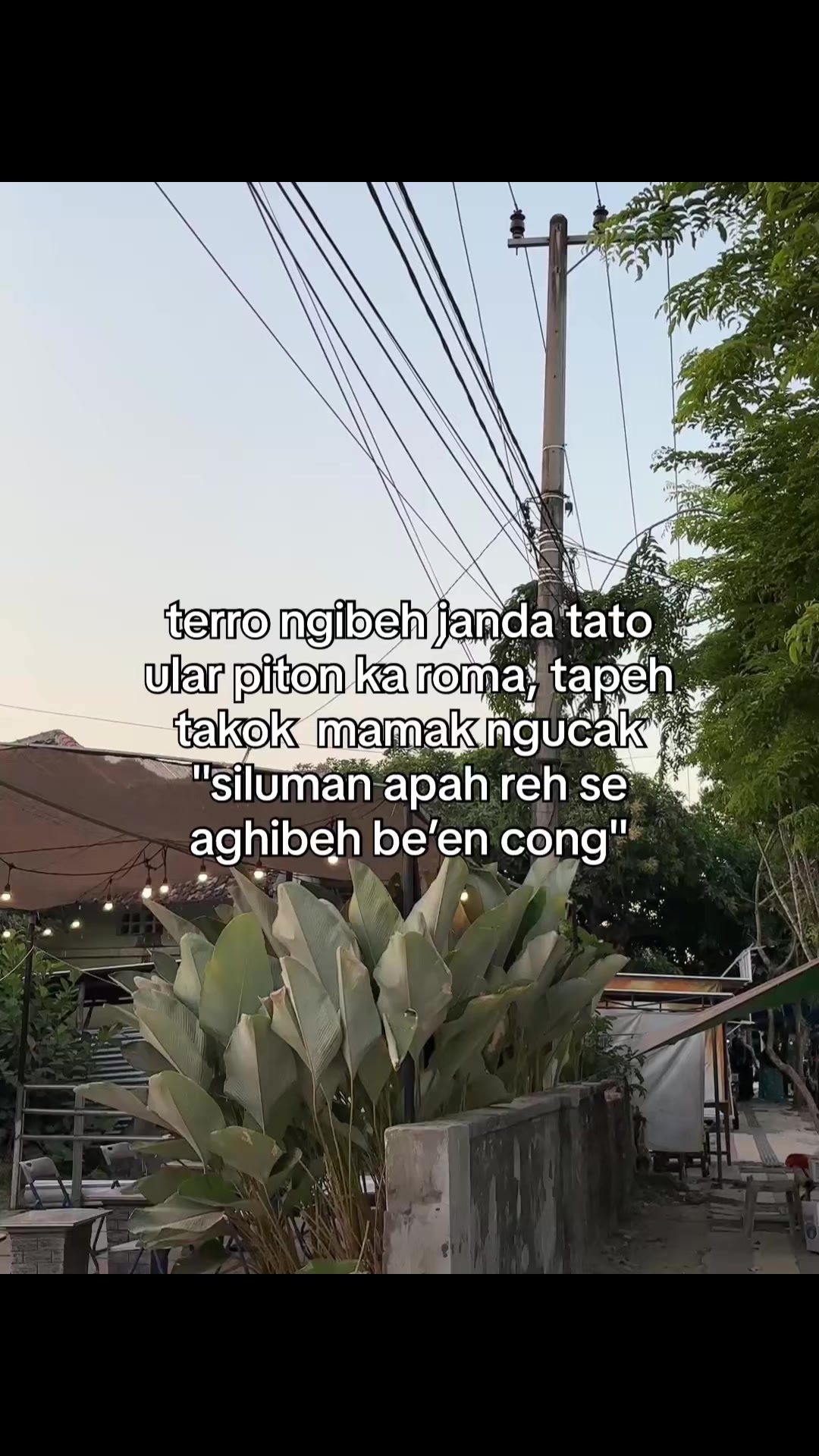 @222⚡️