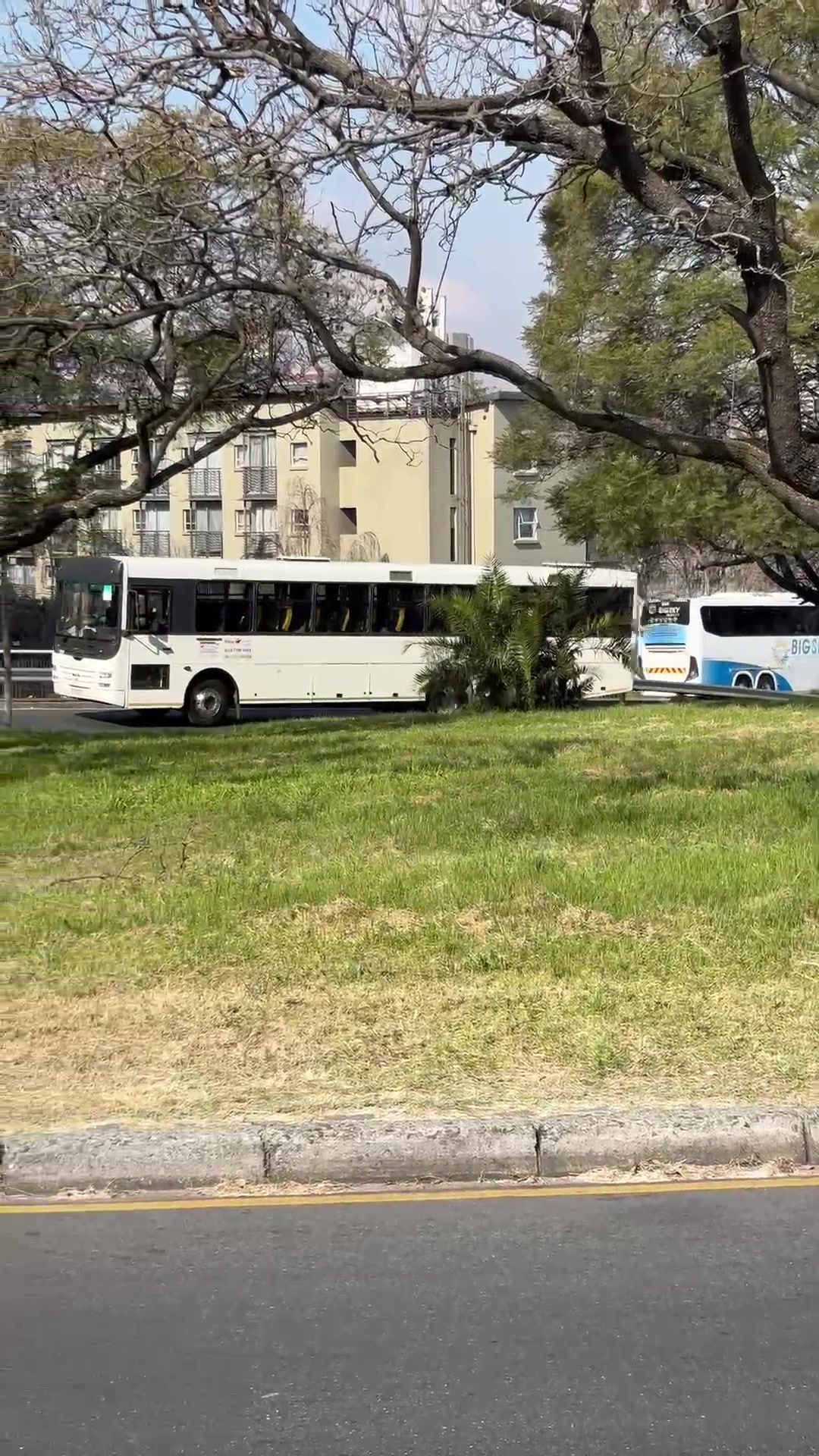 @SA to Africa Bus spotting