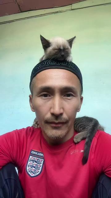 @🐾