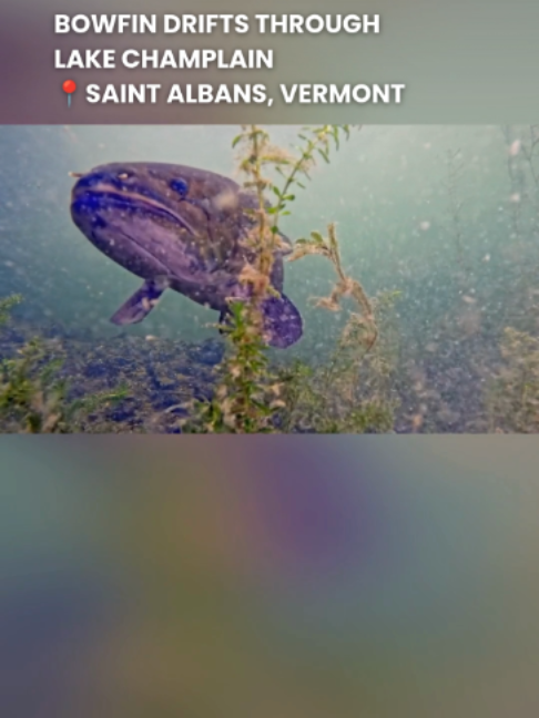 @WCAX-TV