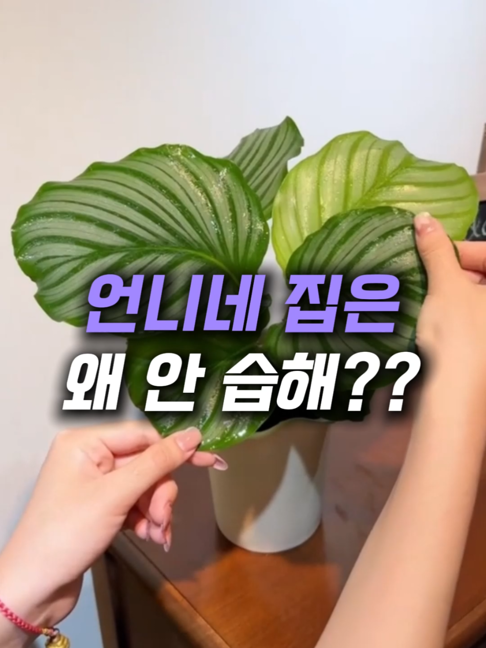 @헤헤홈템