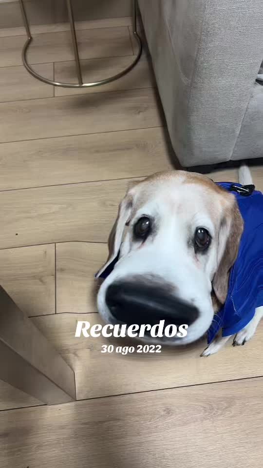 @Milagrosfernandezm06