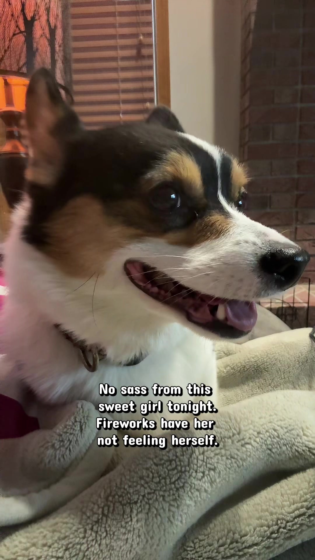@Little Miss Rosie 🐾