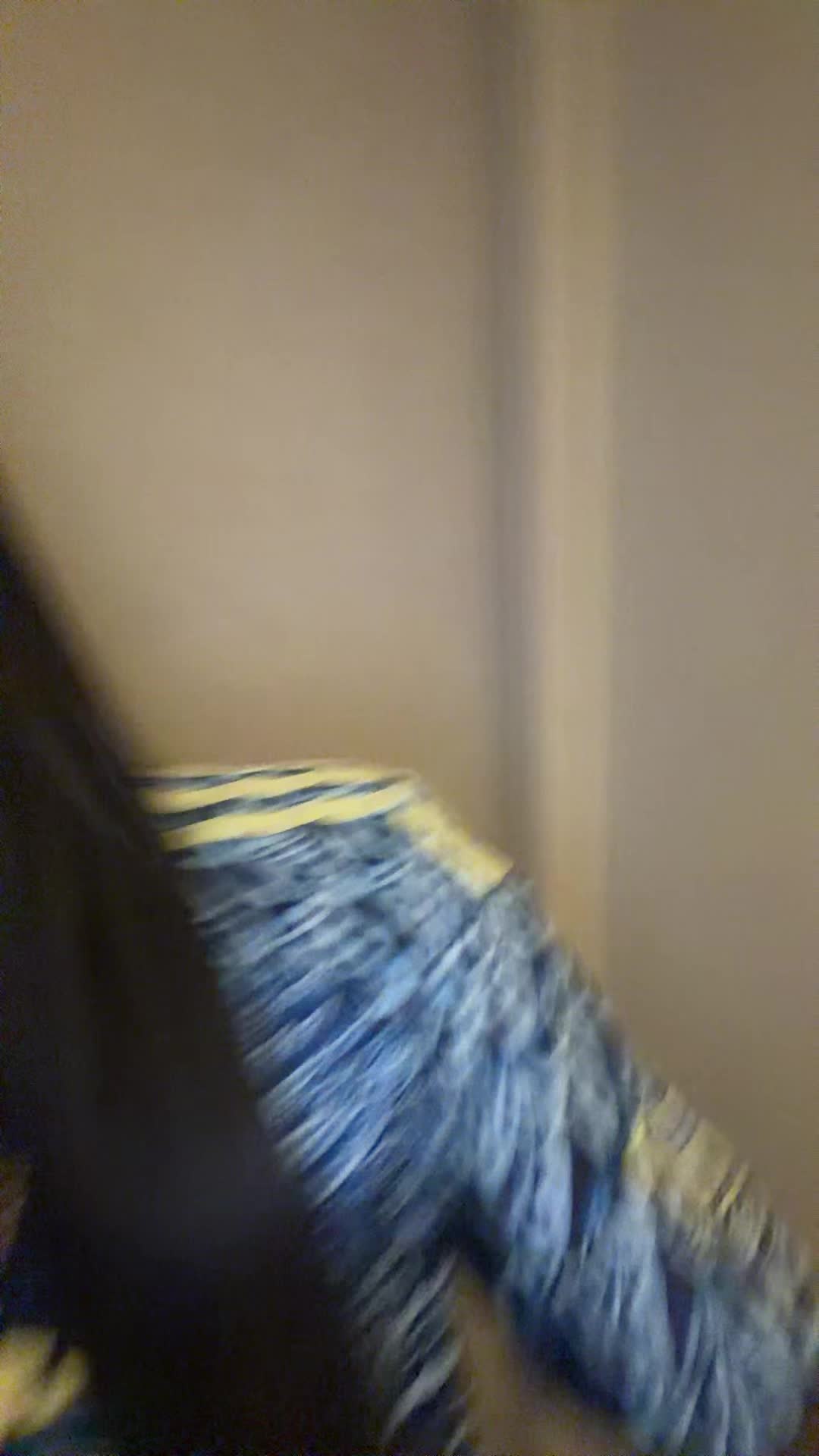 @𝐝𝐚𝐧𝐢 ᥫ᭡.