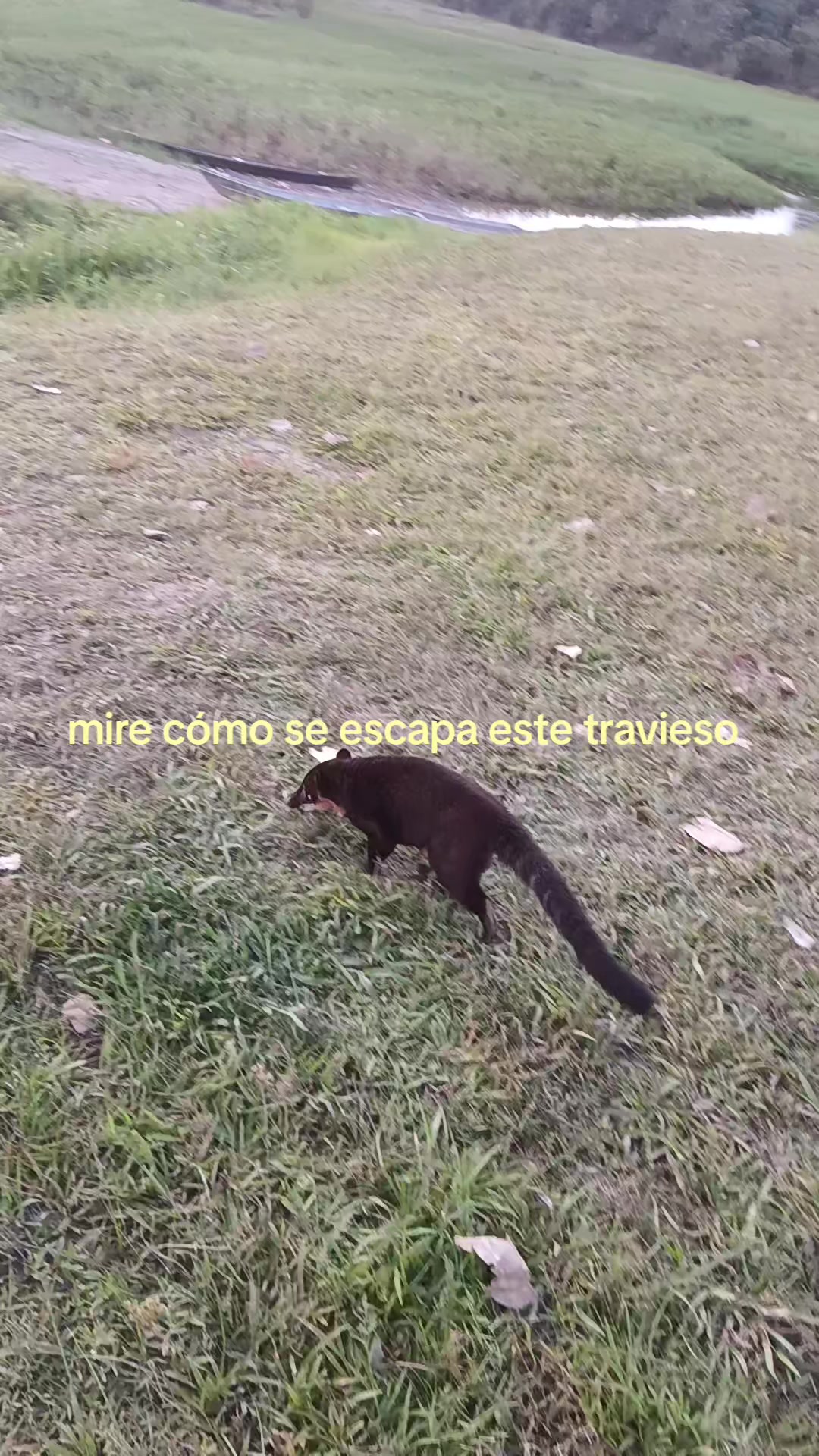 @karen 1992 🇵🇪💯❤️