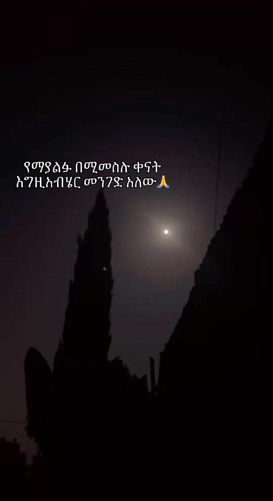 @yordanos aman