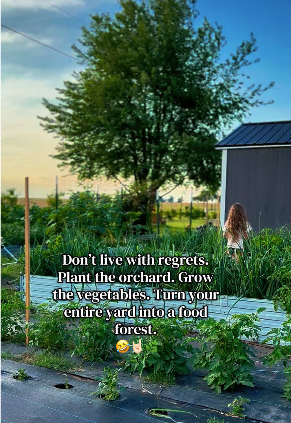 @Davis Farmstead