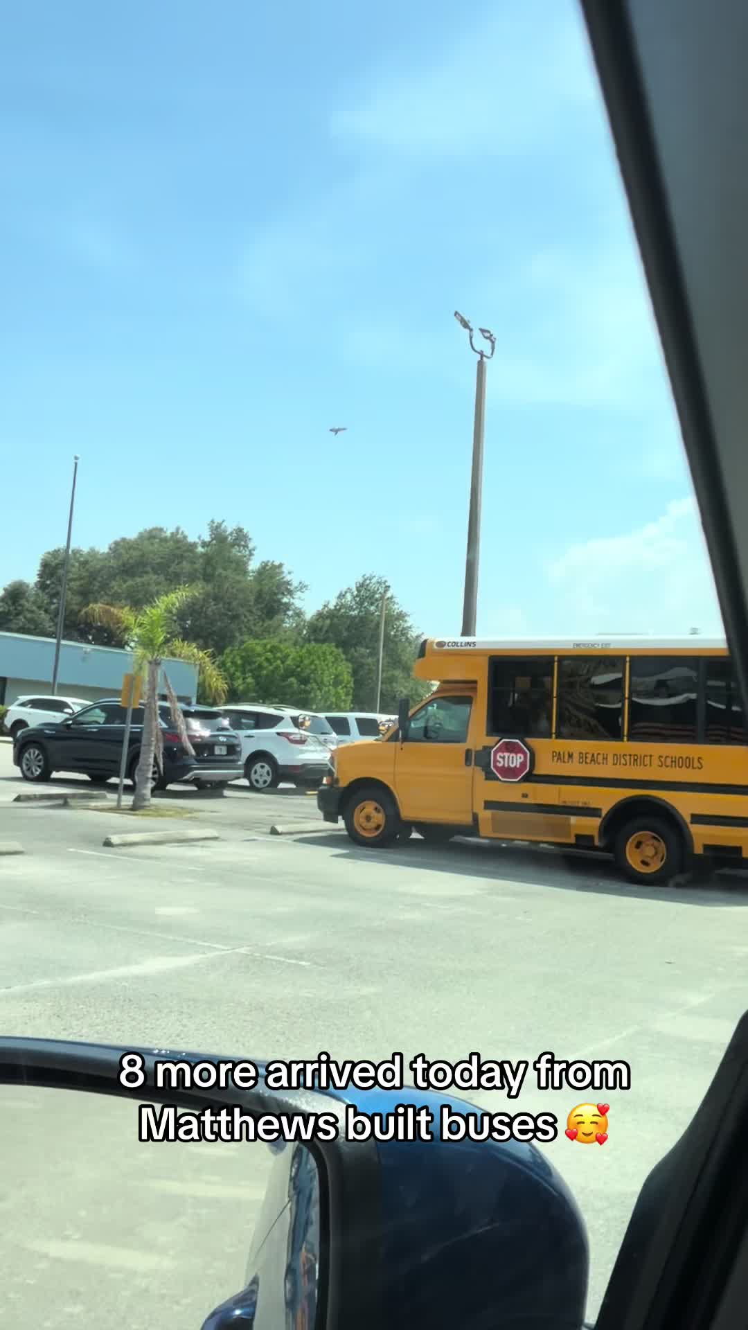 @palmbeachtransportation