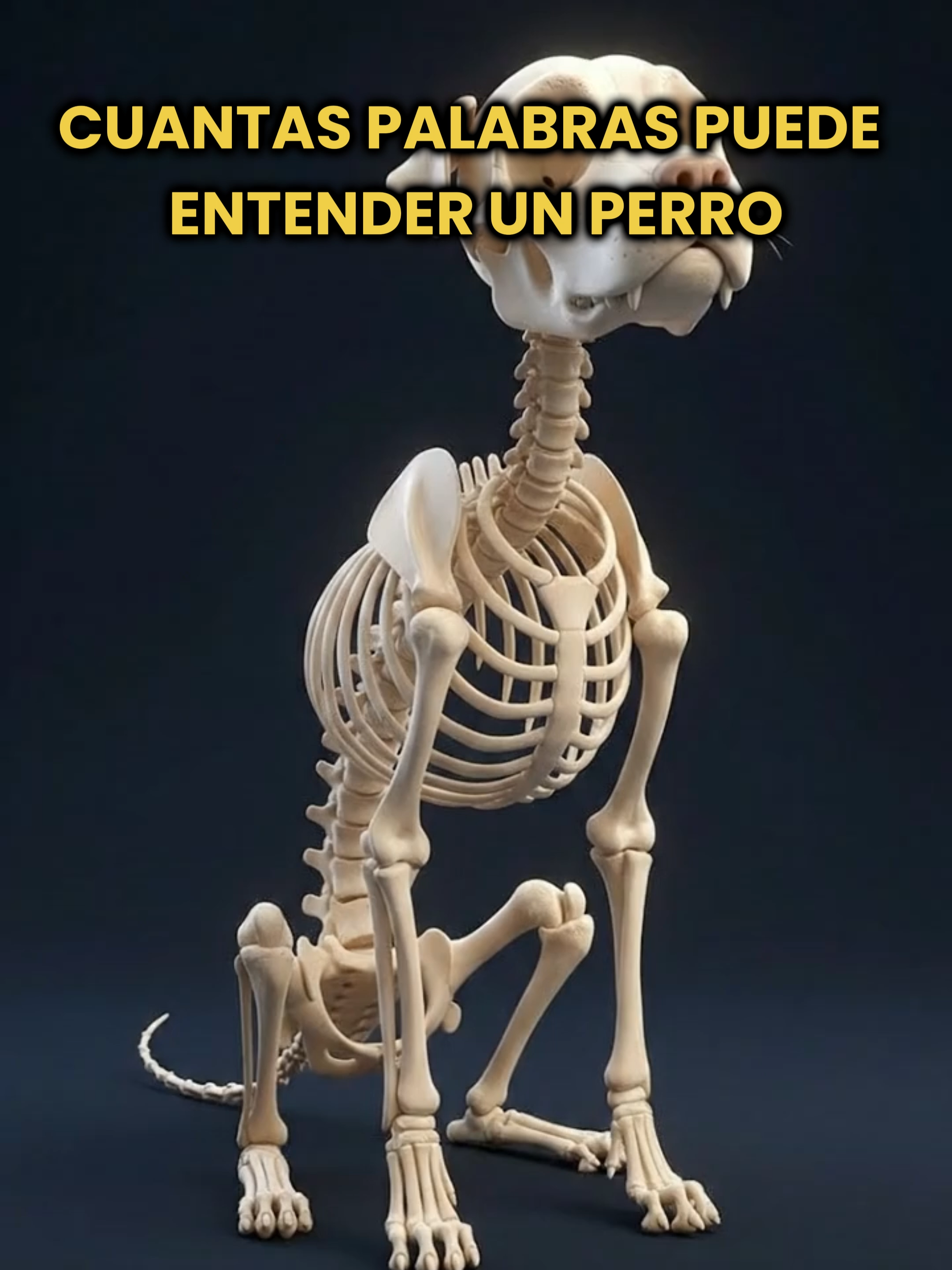 @Datos Curitas