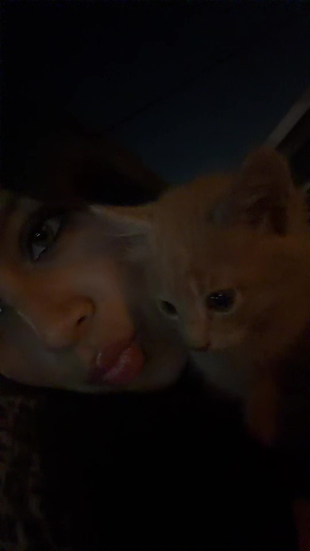 @camila ౨ৎ