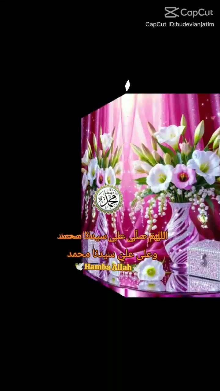 @🌸🕊️Hamba Allah🕊️🌸