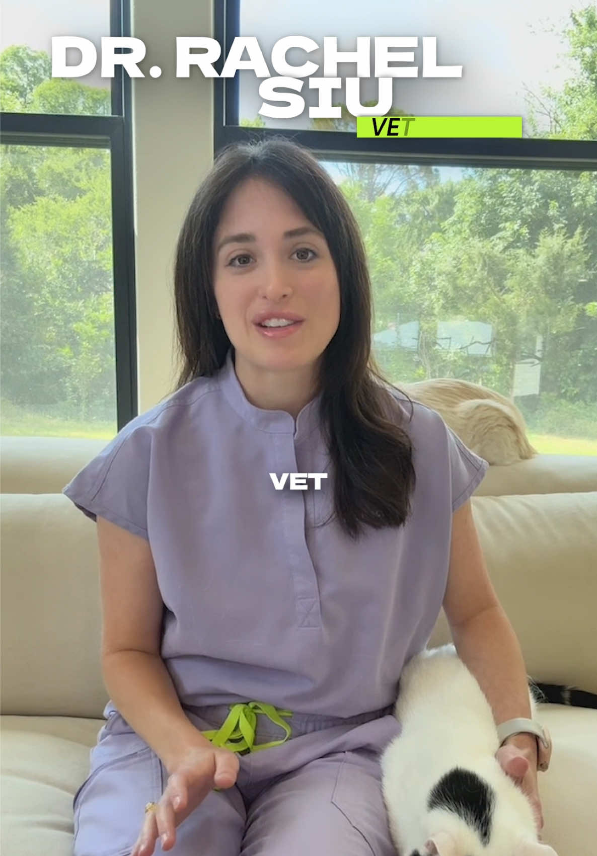 @The BK Pets - Dog Food Tips