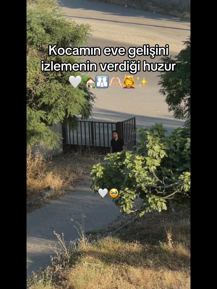 @SULTAN🐣