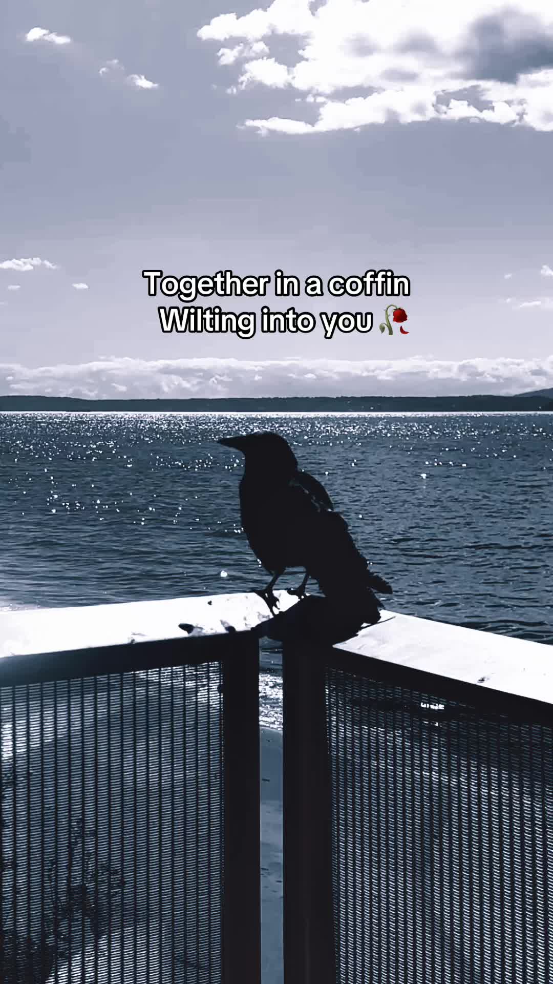 @missio