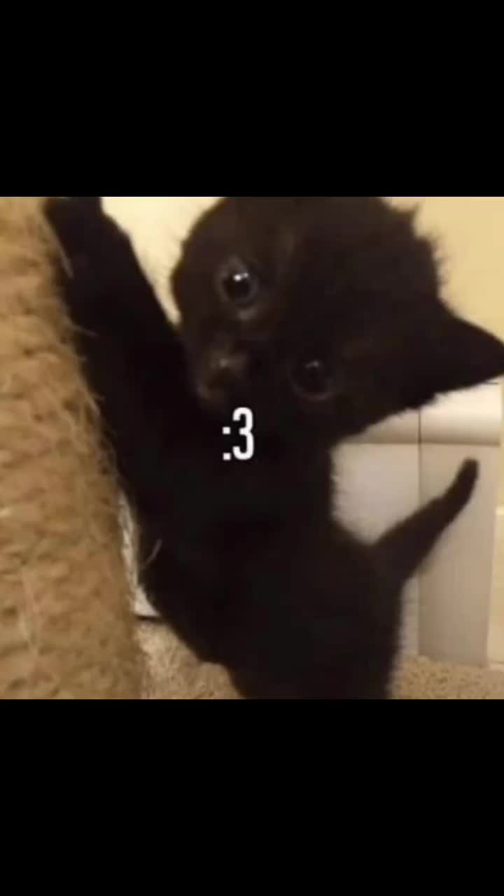 @*+:。.。Мото Джуди。.。:+*