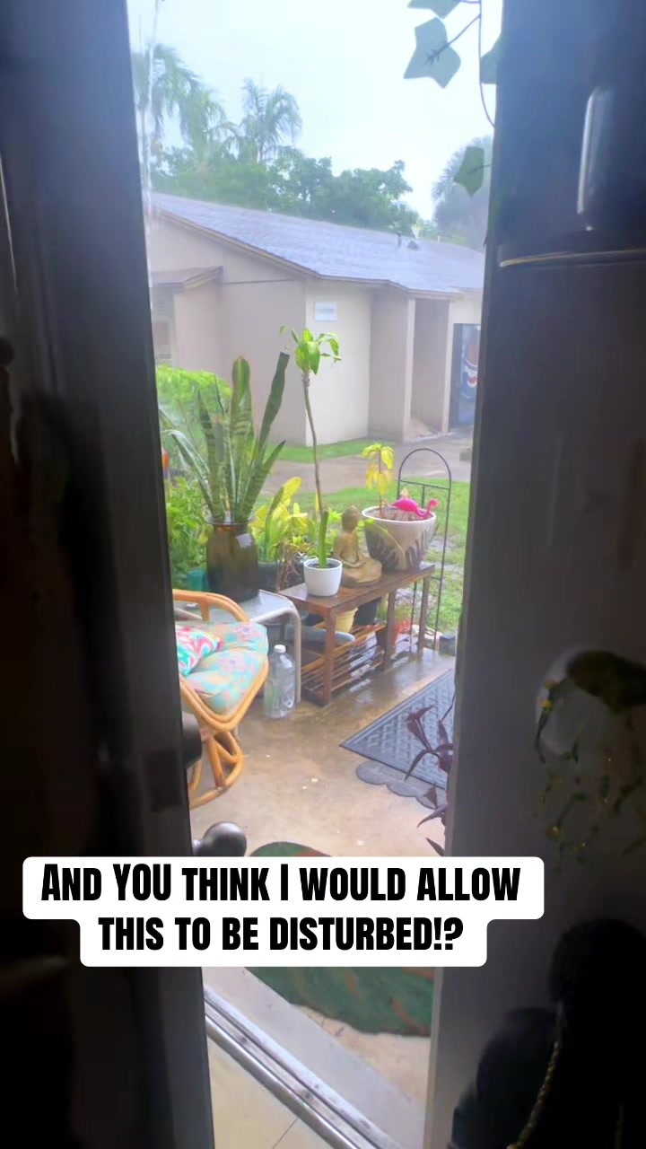 @Nikki