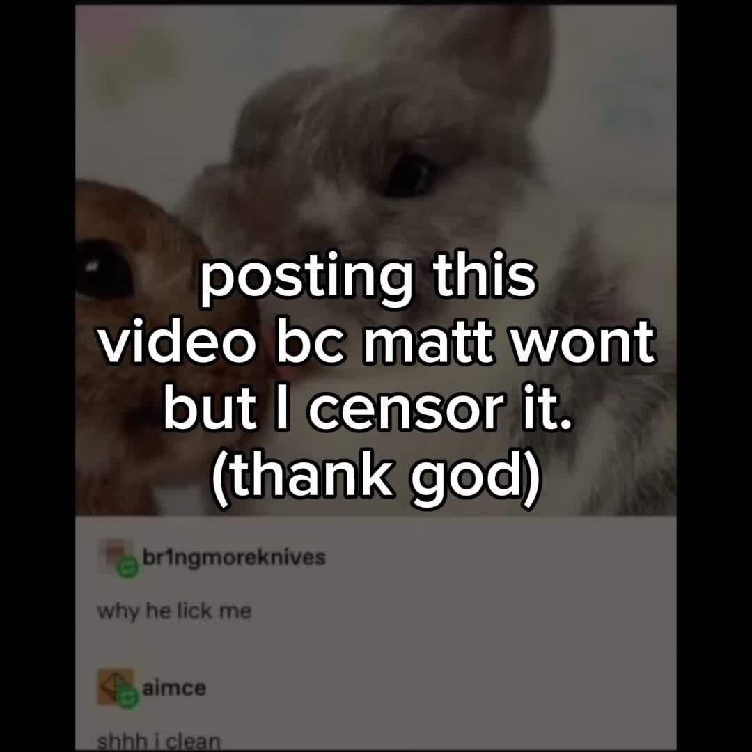 @Mistwithwings