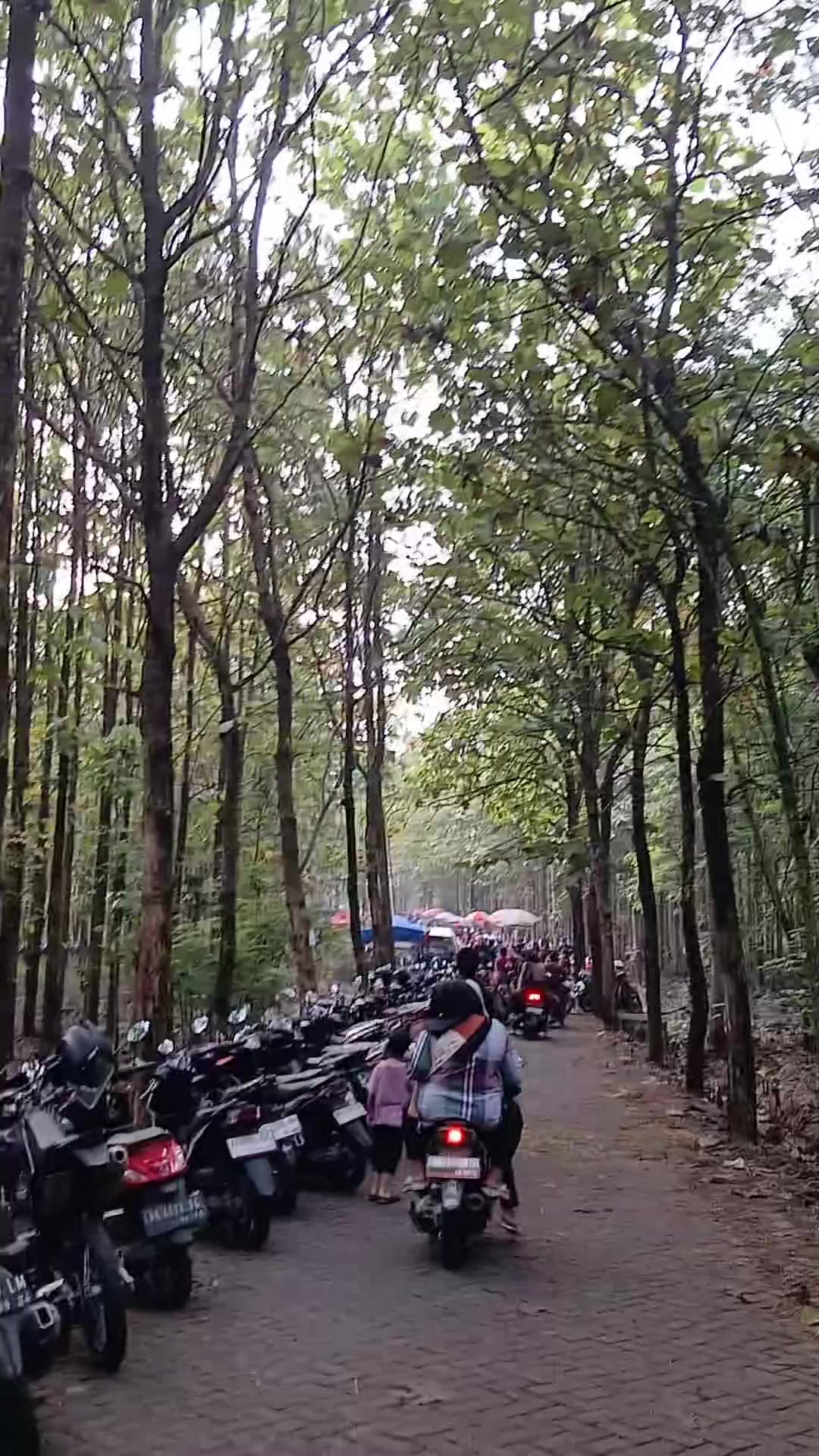 @Midutt