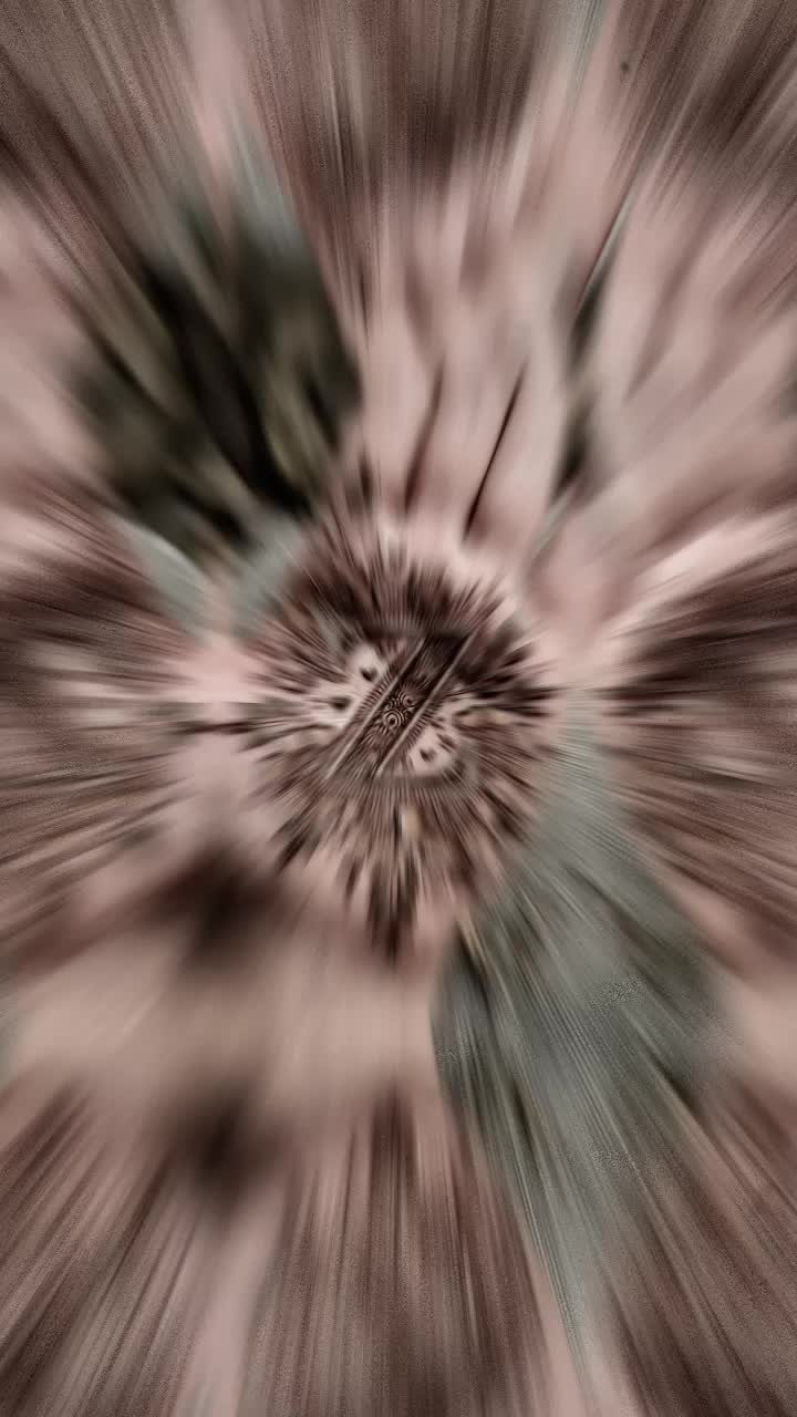 @𝐀𝐙 🫅࿐