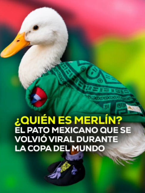 @MVS Noticias Monterrey
