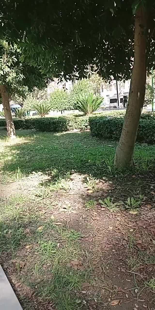@gülüşü güzel Antakyalı çiğdem