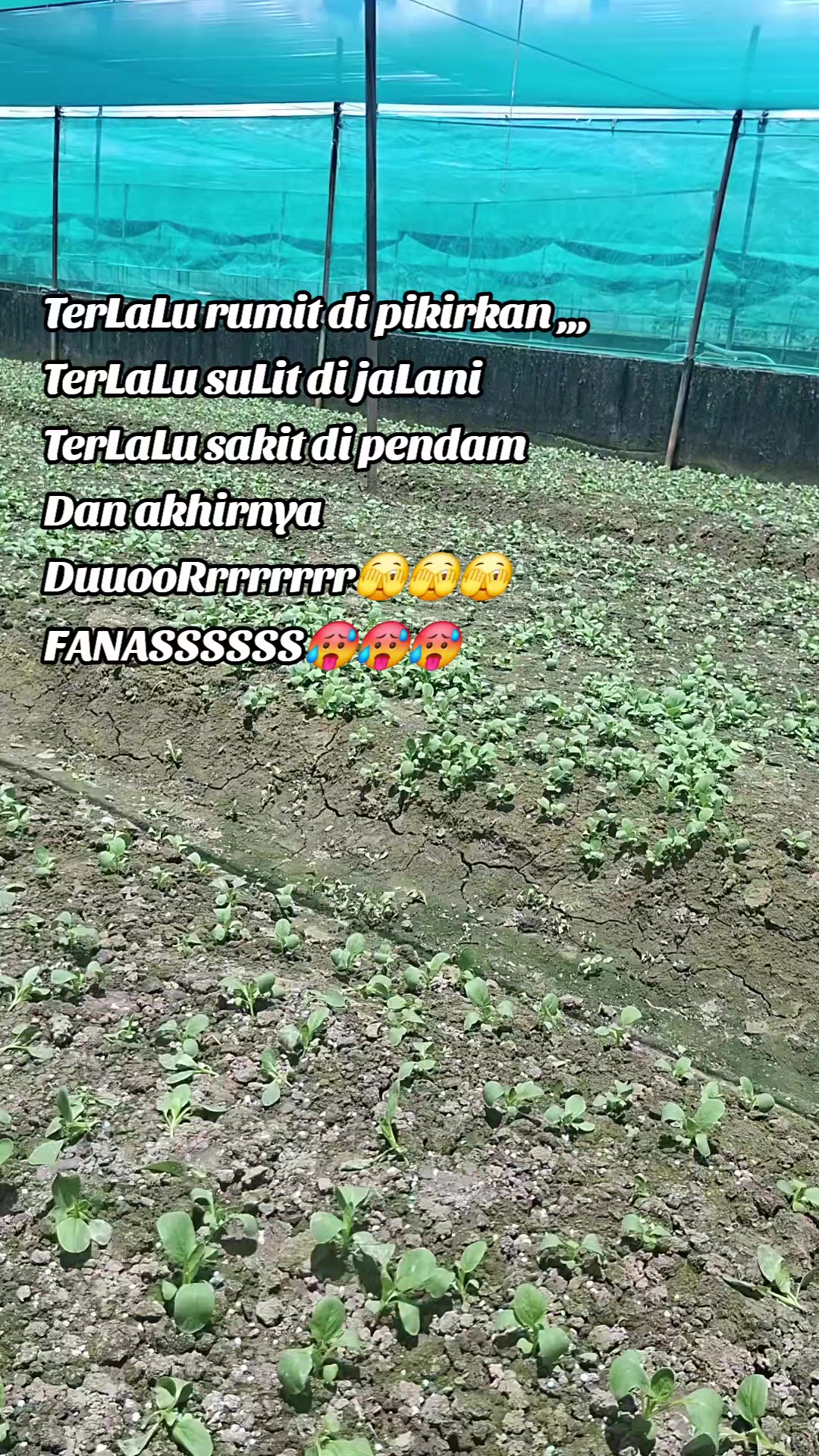 @Zhyn'TAUCE🔪🇲🇨🇹🇼🐅