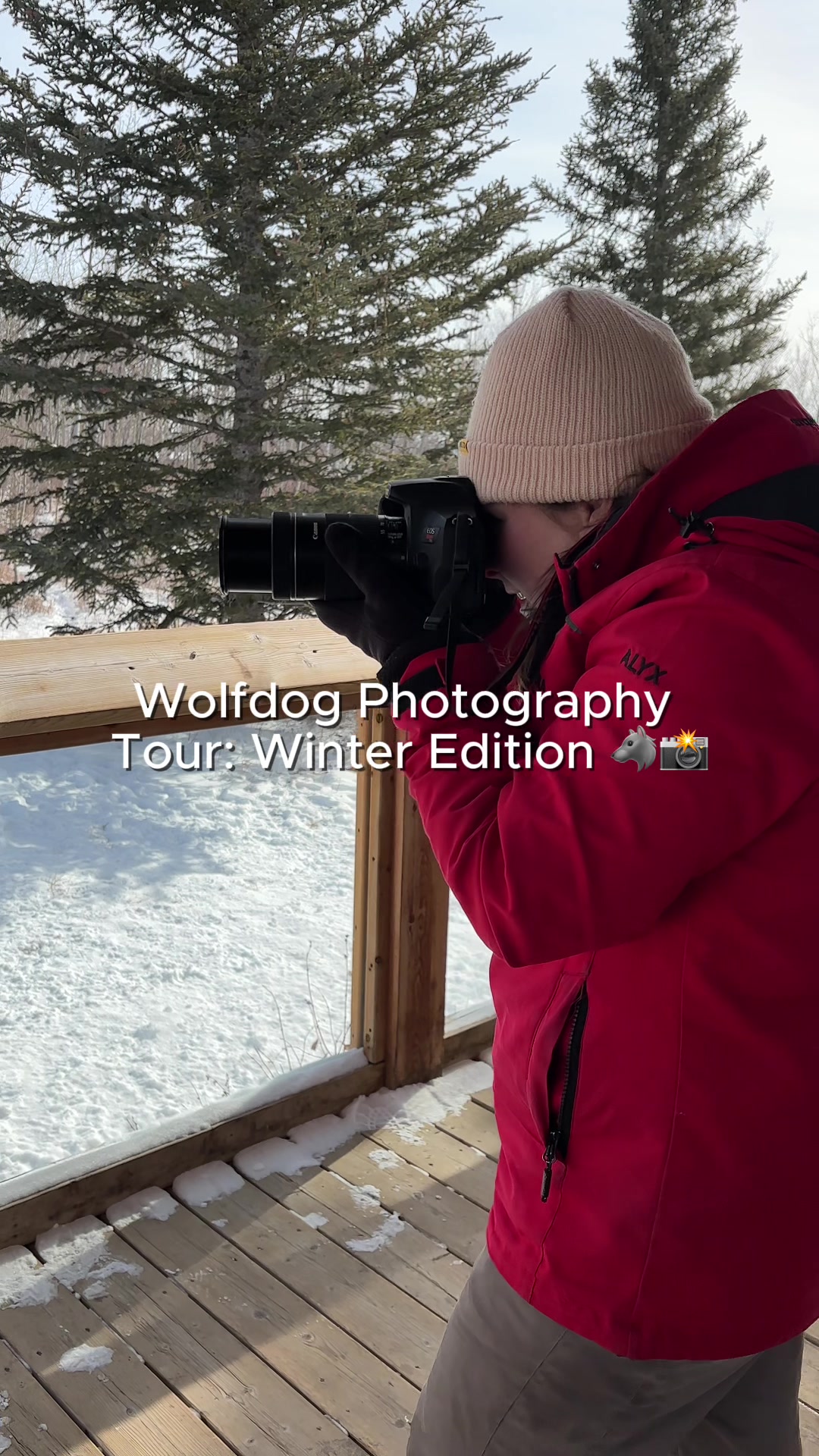@Yamnuska Wolfdog Sanctuary